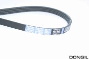 DONGIL 4PK845 BELT W/PUMP &amp; ALTERNATOR